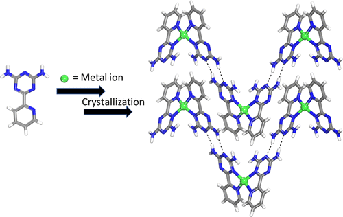 Programmed Molecular Construction: Driving the Self-Assembly by Coordination and Hydrogen Bonds Using 6-(Pyridin-2-yl)-1,3,5-triazine-2,4-diamine with M(NO3)2 Salts